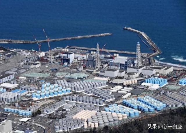 全部达标！日本宣布核污水排海第一波检测数据，获国际原子能认可