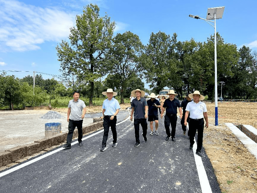 【基层人大】弋阳县圭峰镇:开展全镇人居环境整治专题视察_进行_情况