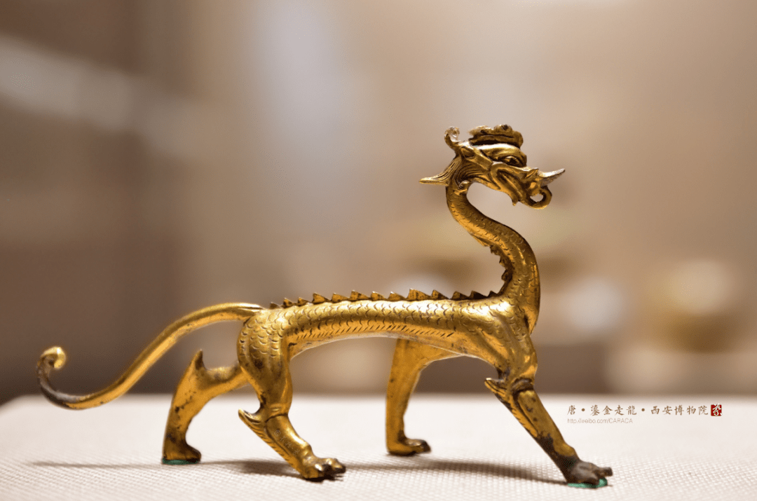 终于集齐历代龙纹,藏家必看!