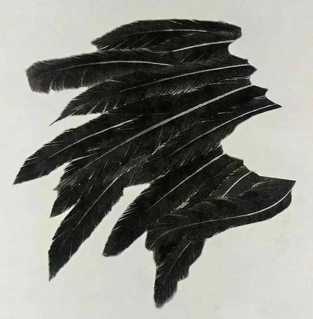 技法|仙鹤各个部位的详细画法分解_羽毛_线条_白羽