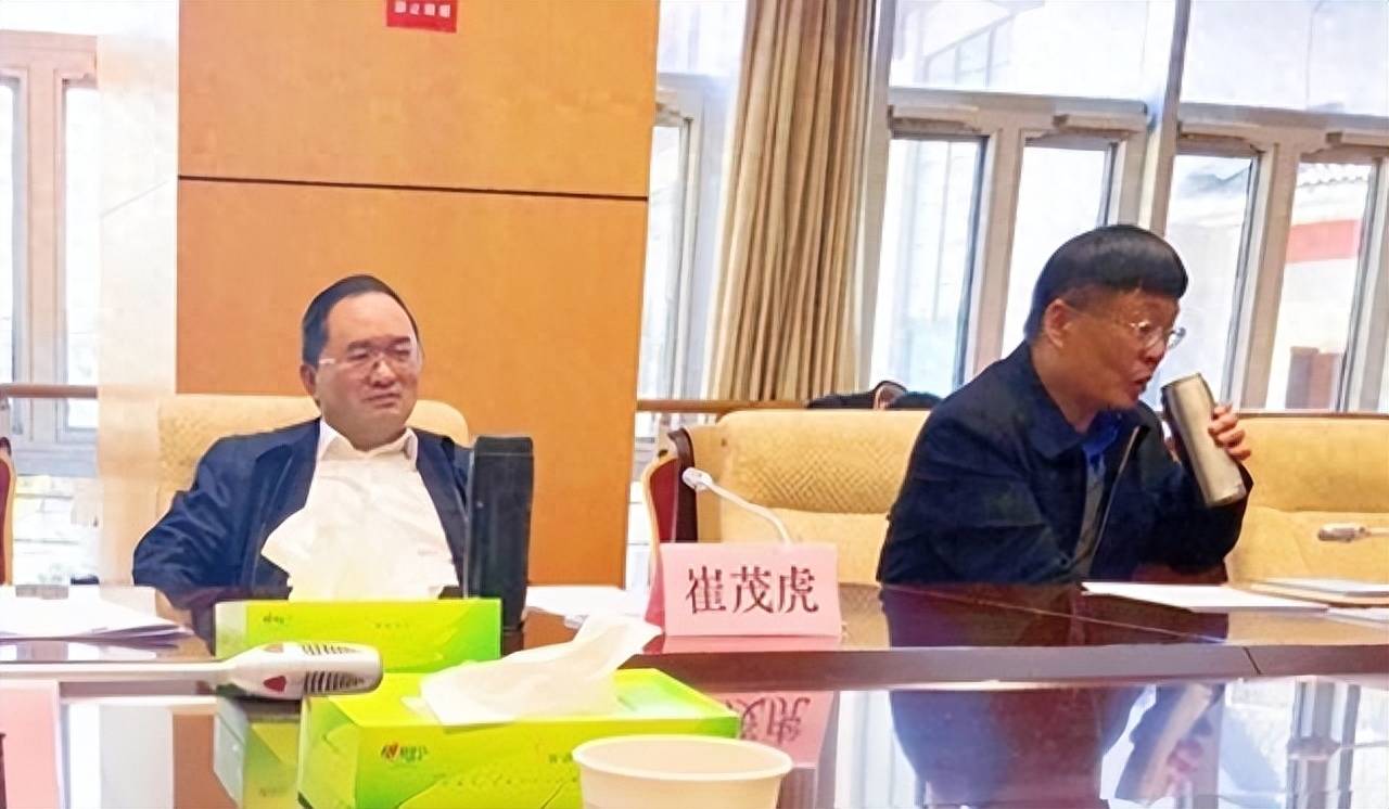 "老虎"被查半年后,当年秘书长投案_金光闪_丽江市_崔茂虎
