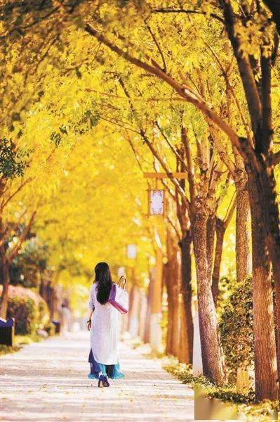 朗诵| 秋意浓,多珍重_人生_岁月_季节