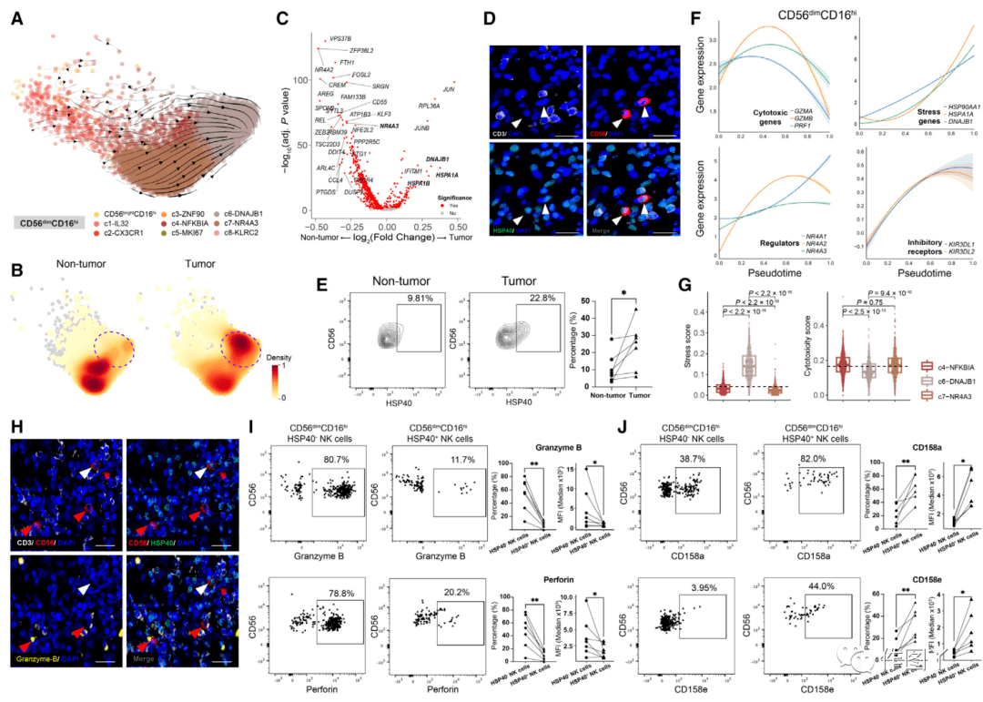 人类自然杀伤细胞的泛癌单细胞全景图_研究_dimcd_类型