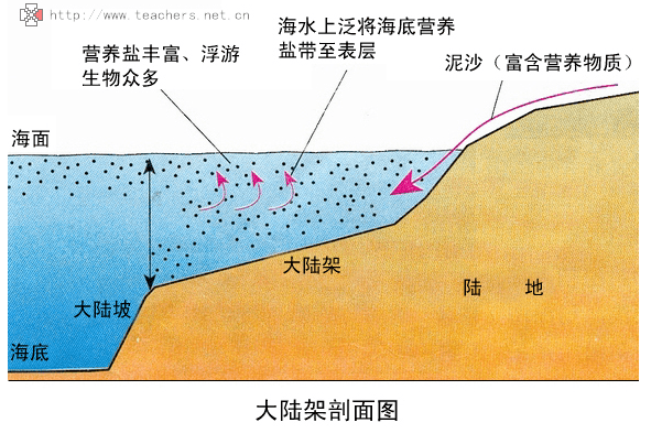 东海渔业海区图图片