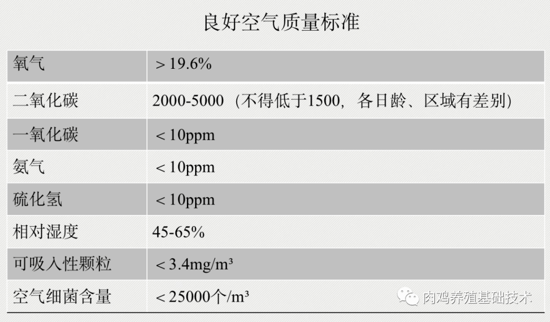 817肉鸡各日龄温度表图片