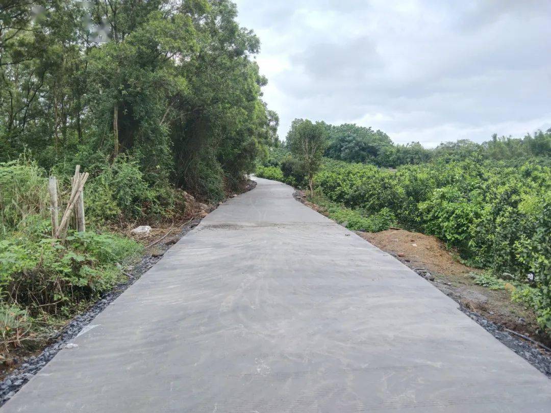 象州县大乐镇:修好产业路,打通幸福"快车道"!_发展_村委_群众