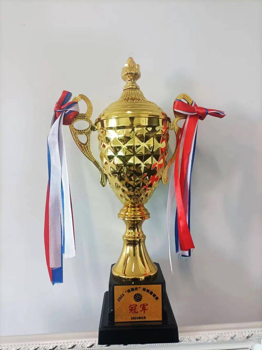 【职工园地】市自然资源局"2023迎国庆"排球邀请赛夺冠_单位_奖杯_球