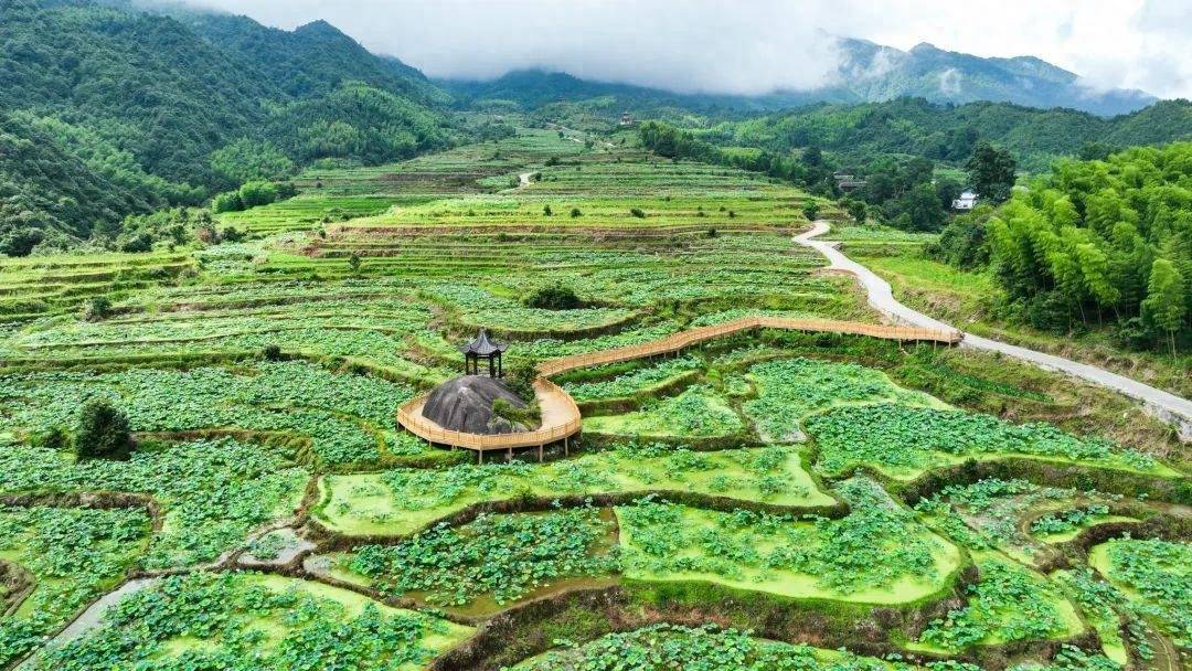 风展红旗 如画三明 | 建宁县:传承红色基因 体验多彩研学_文化_教育