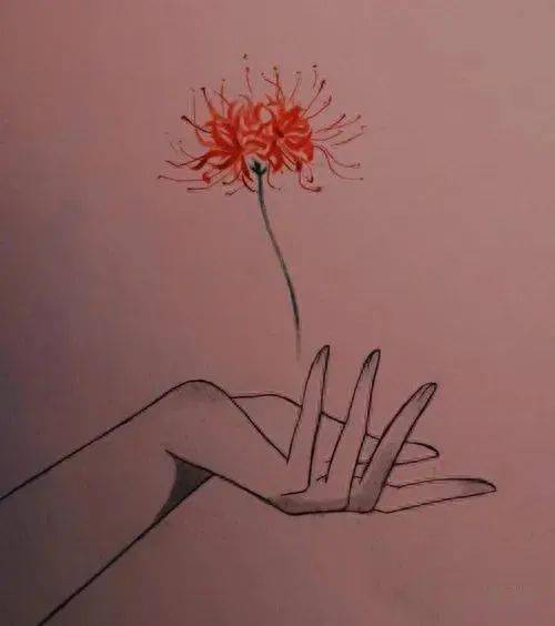 为什么说"彼岸花"是一种冥界的花?都有哪些含义?_罗曼_陈玄_象征意义