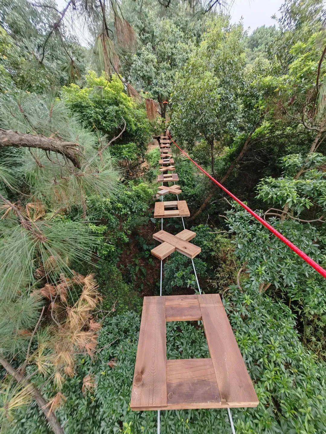 飞越丛林,亲水溪谷……国庆来西樵山,解锁新玩法