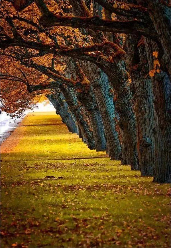 岁月催人老,人生几度秋_时光_青春_时候