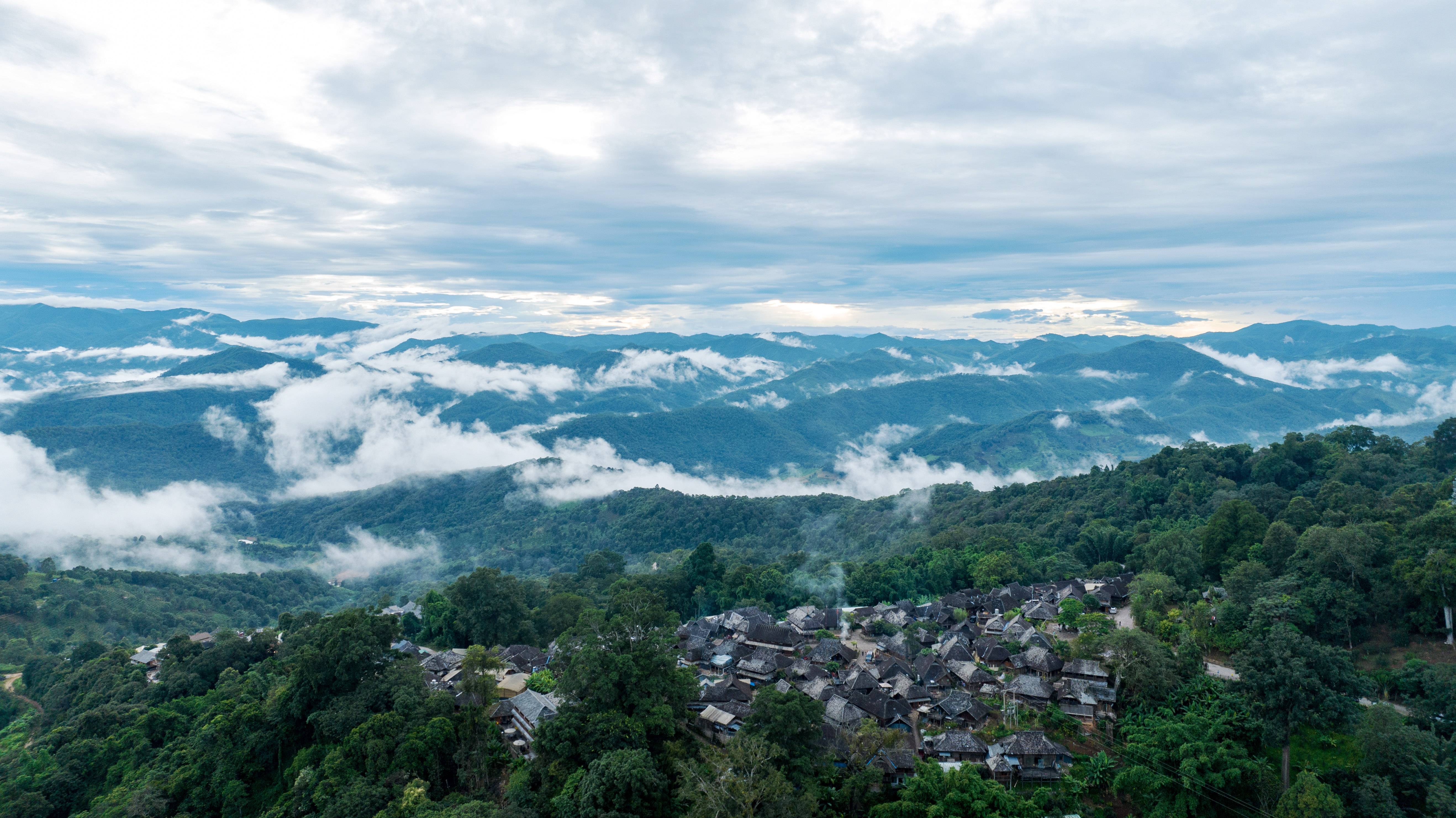 (社会)普洱景迈山古茶林文化景观申遗成功