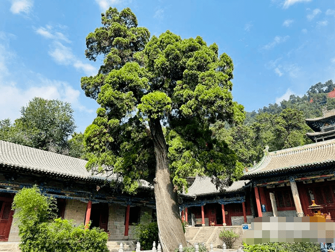 一起去交城卦山感受山水魅力,佛教文化~_自然_景区_巨石