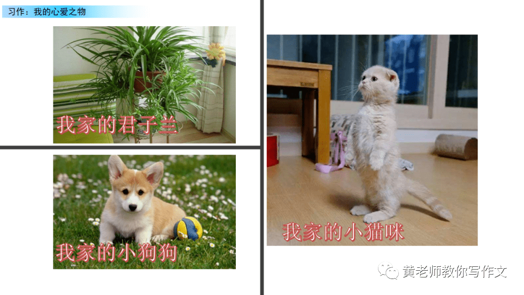 部编版语文五年级上册第一单元习作《我的心爱之物》写作指导_字典