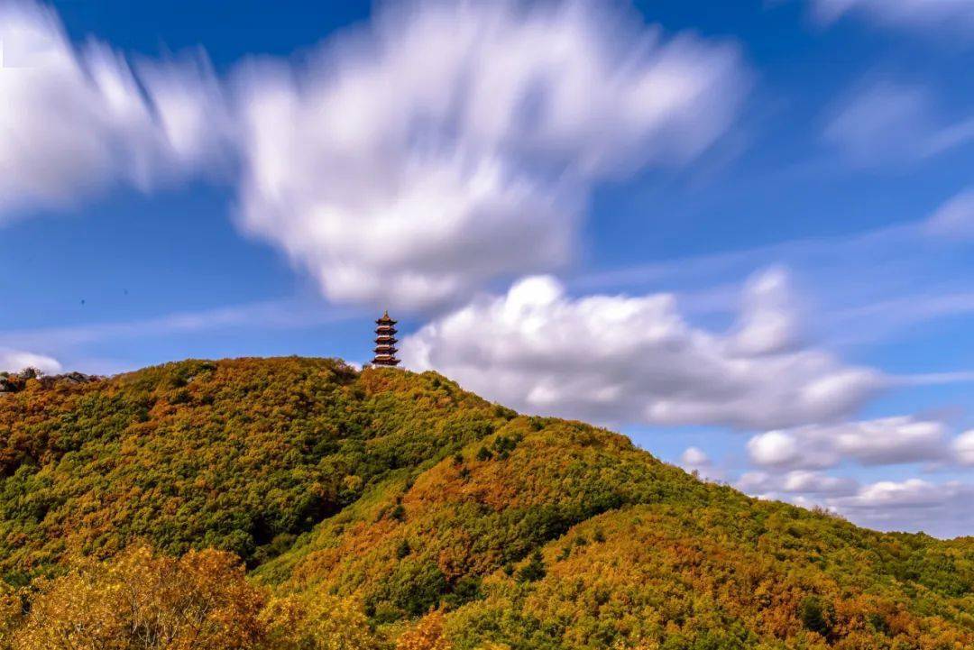 虎林_密山_哈尔滨