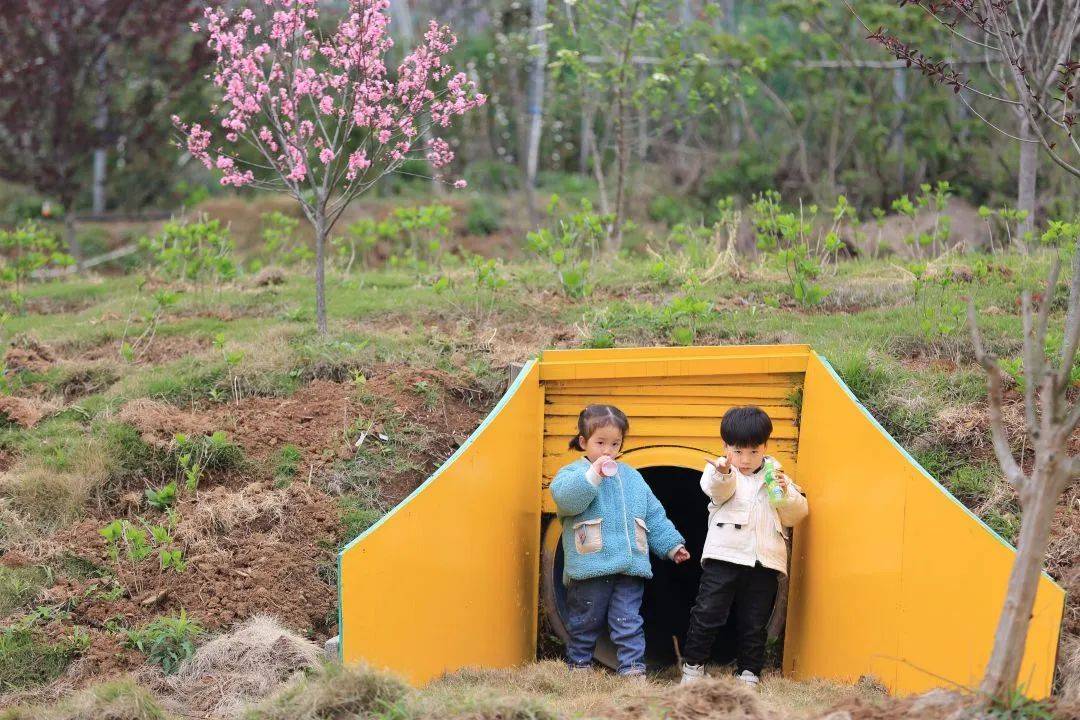 宁海依山农场图片