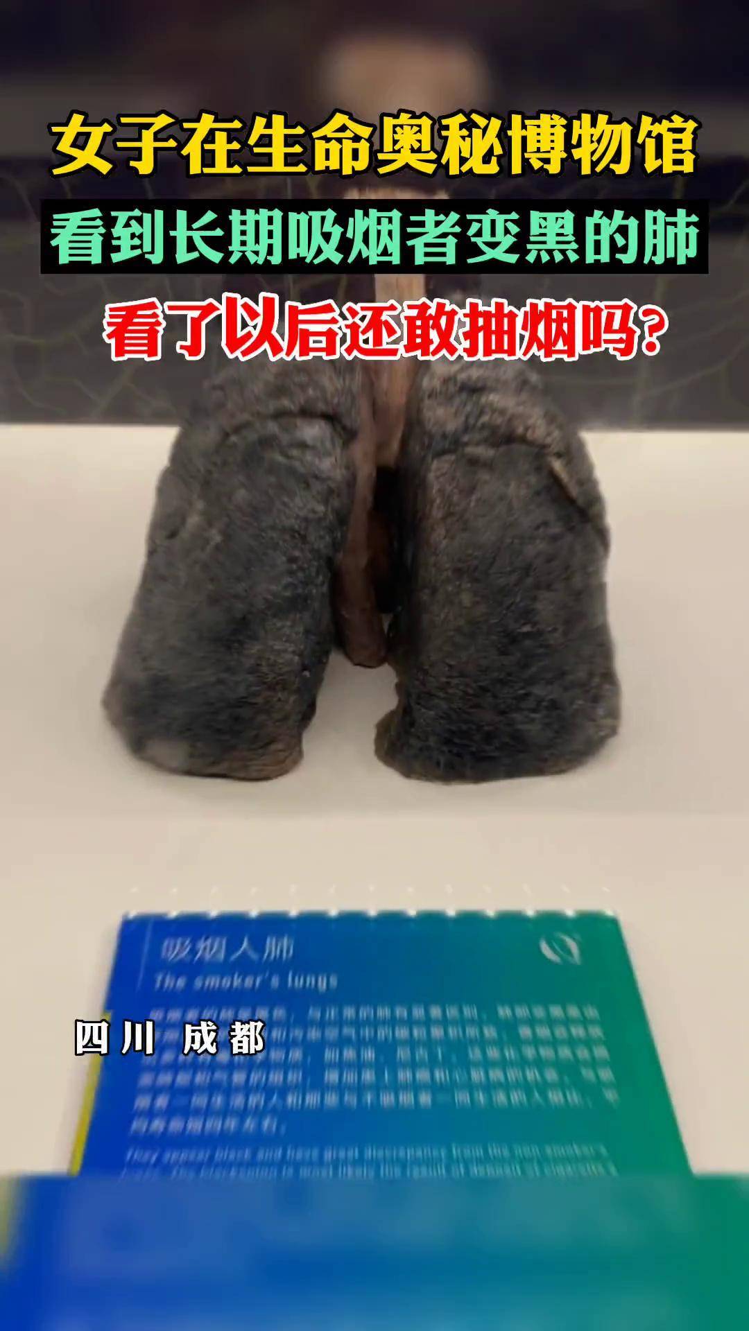 女子在生命奥秘博物馆,看到长期吸烟者变黑的肺,看了以后还敢抽烟吗?
