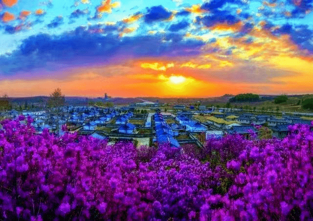 延边州: 推进农村人居环境整治 增强群众获得感幸福感_乡村_工程_工作