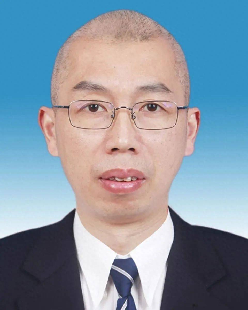 工作_分工_区人民政府