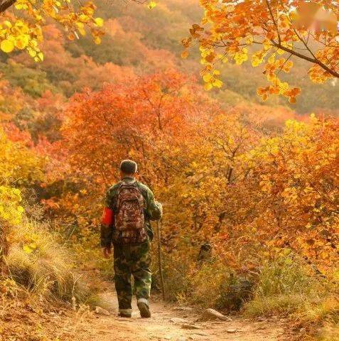 深秋中的佛照山,增添了一种别样的魅力;没有春天的