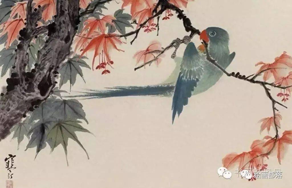 海派画家江寒汀花鸟精选!_海上_陆仰非_画坛