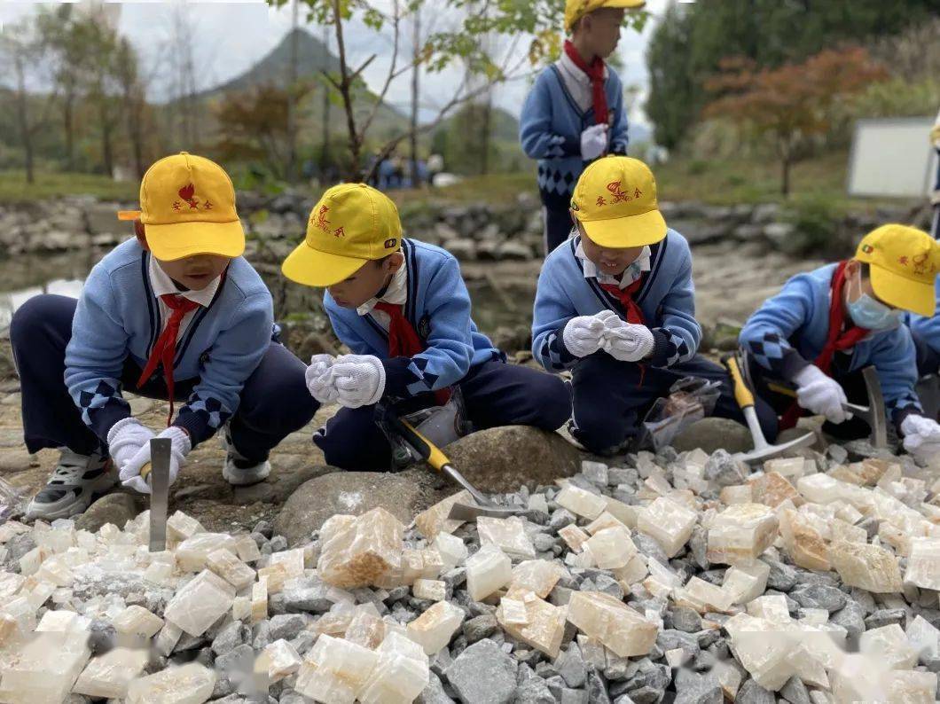 化石_活动_菊石