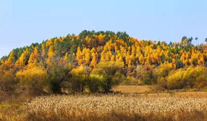 我在北极村祝福亚运:和天南海北的游客一起看开幕式