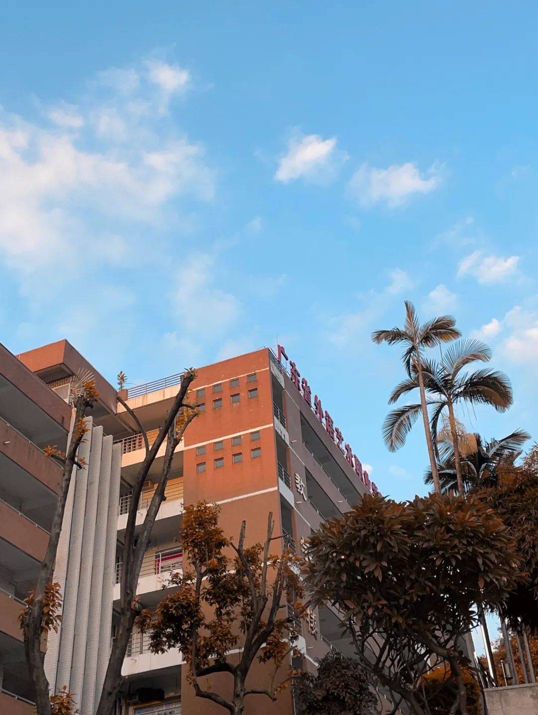 陈热娜 戚春燕 刘小燕 李宛容杨玉婷 钟祖仪 莫美金 姚蓉陈翠莹 黄可