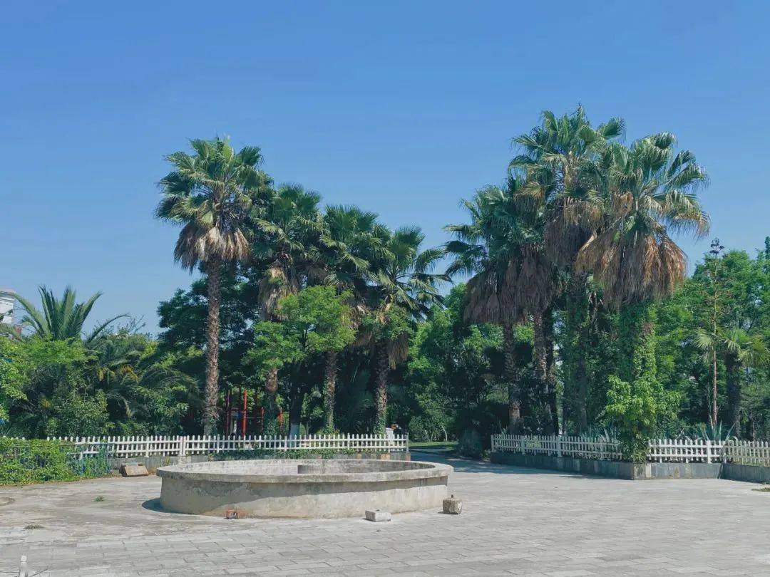 全天门票:免费游玩时间建议:全天地址:昆明市官渡区宝海路121号呈贡是