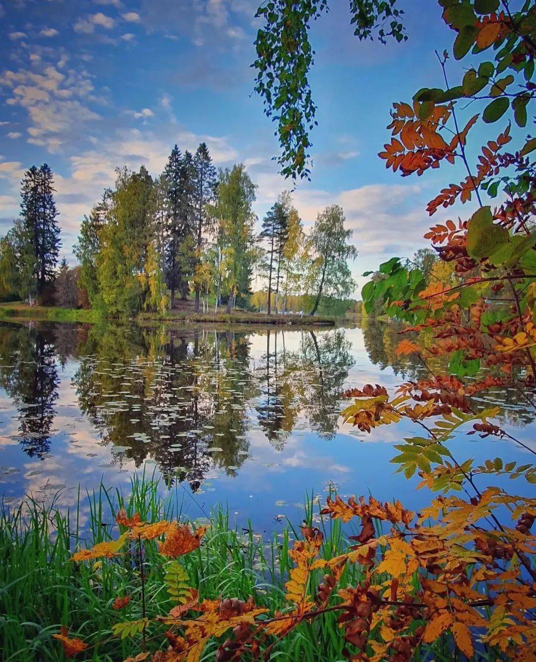 夏秋之际,黄绿之交_进行_交接_夏天