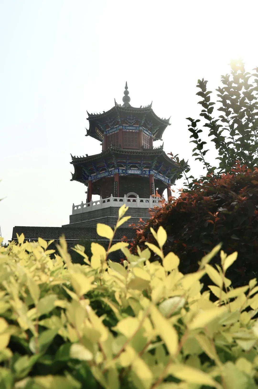 周末来临一起在辽阳寻找「闪闪发光」的日常吧