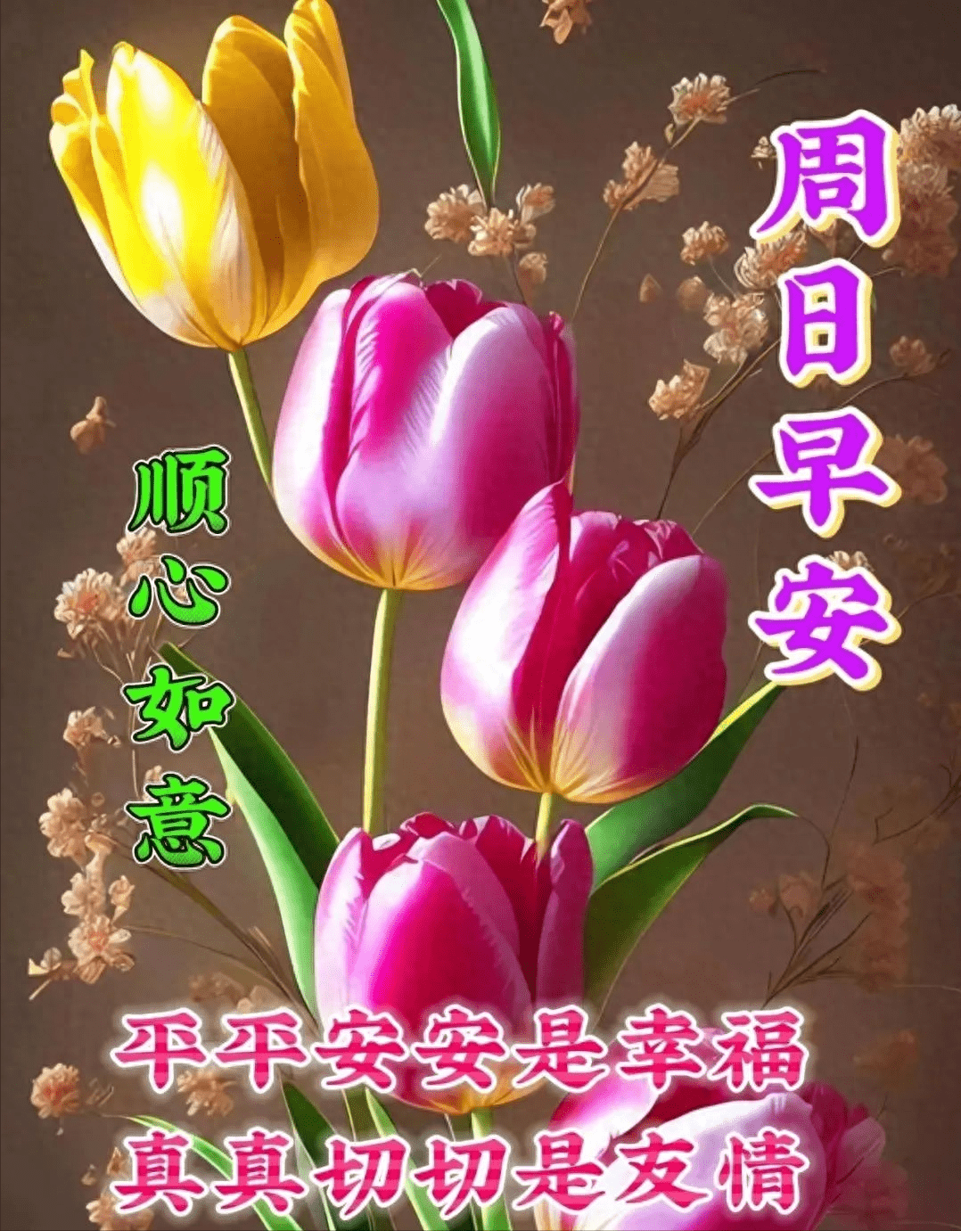 周日心语 享受美好时光,为幸福创造新的征程!
