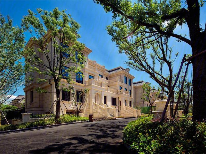 项目介绍| 江夏中建汤逊湖壹号别墅(凡尔赛)主力户型为233.66~349㎡