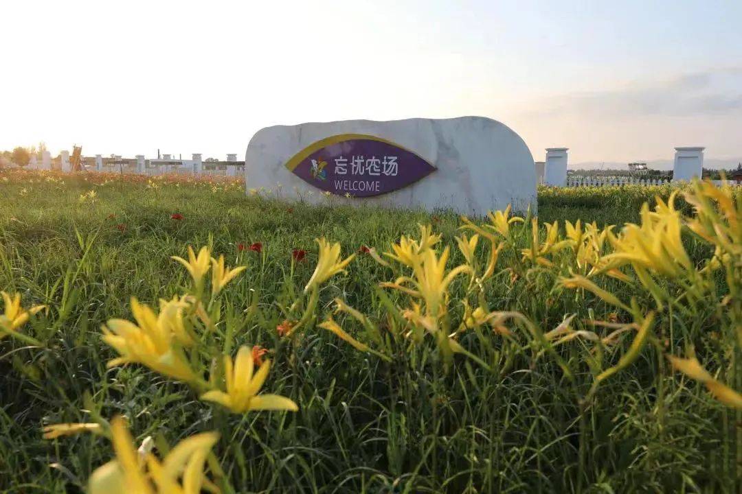 来大同忘忧农场体验"向往的生活"_活动_发展_融合