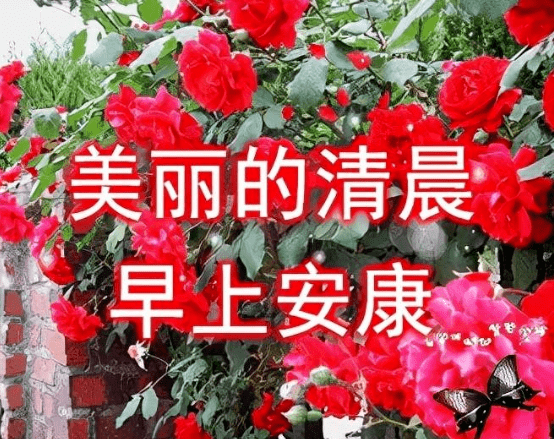 早上好问候语,深深问候,远方牵挂_祝福_一生_漂亮