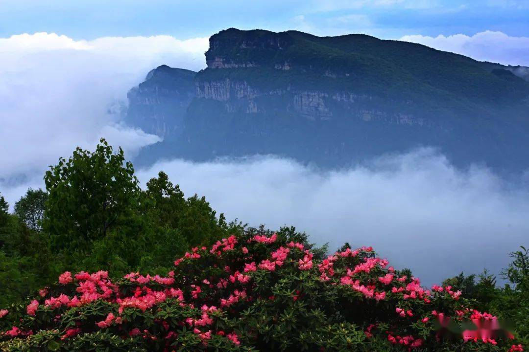 宝鸡龙头山景区图片图片