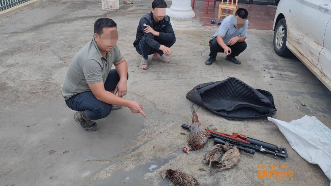 报警_三合村_上野