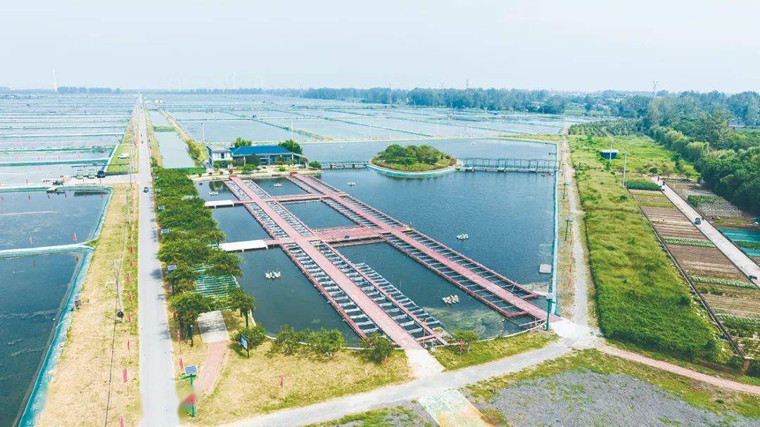 金秋时节蟹飘香 美丽菱塘邀您来_高邮_向北_图片