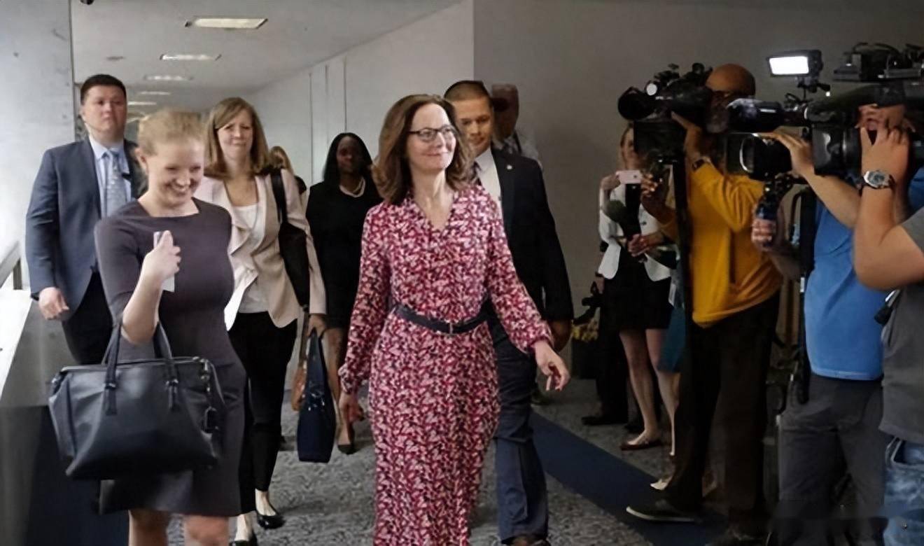 曾经有一部敏感题材的动漫《军火女王》上映,片中涉及了一个中情局女