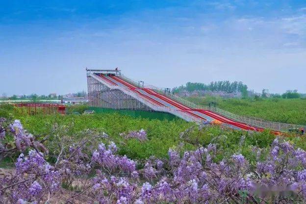 9.29-10.6相约葛花滩,无限趣味与你分享!_砀山_风景区_黄河