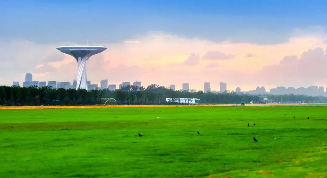 有序对外开放骆岗公园大草坪将进行科学管养据合肥园博小镇消息正式