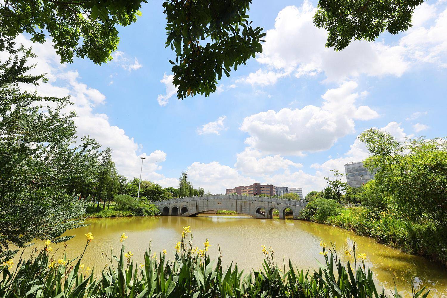 茶山公园是由之前的飞马公园升级改造而成,面积约13万平方米,定位为