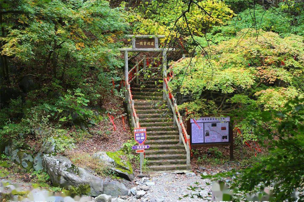 "十一"假期来抚顺筐子沟,"色彩盛宴"等着你!_栈道_风景_秋色