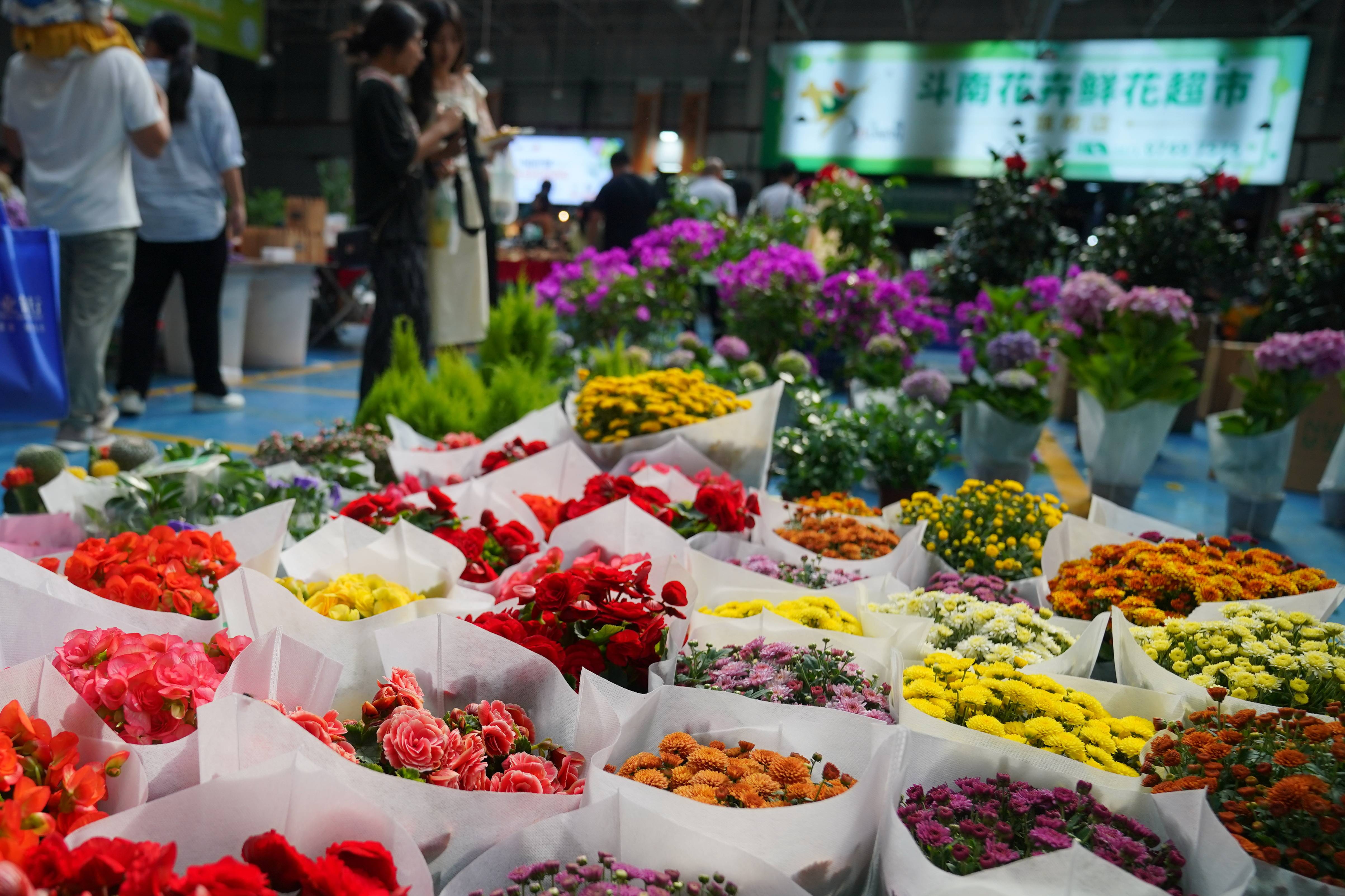 昆明斗南花卉市场位置图片
