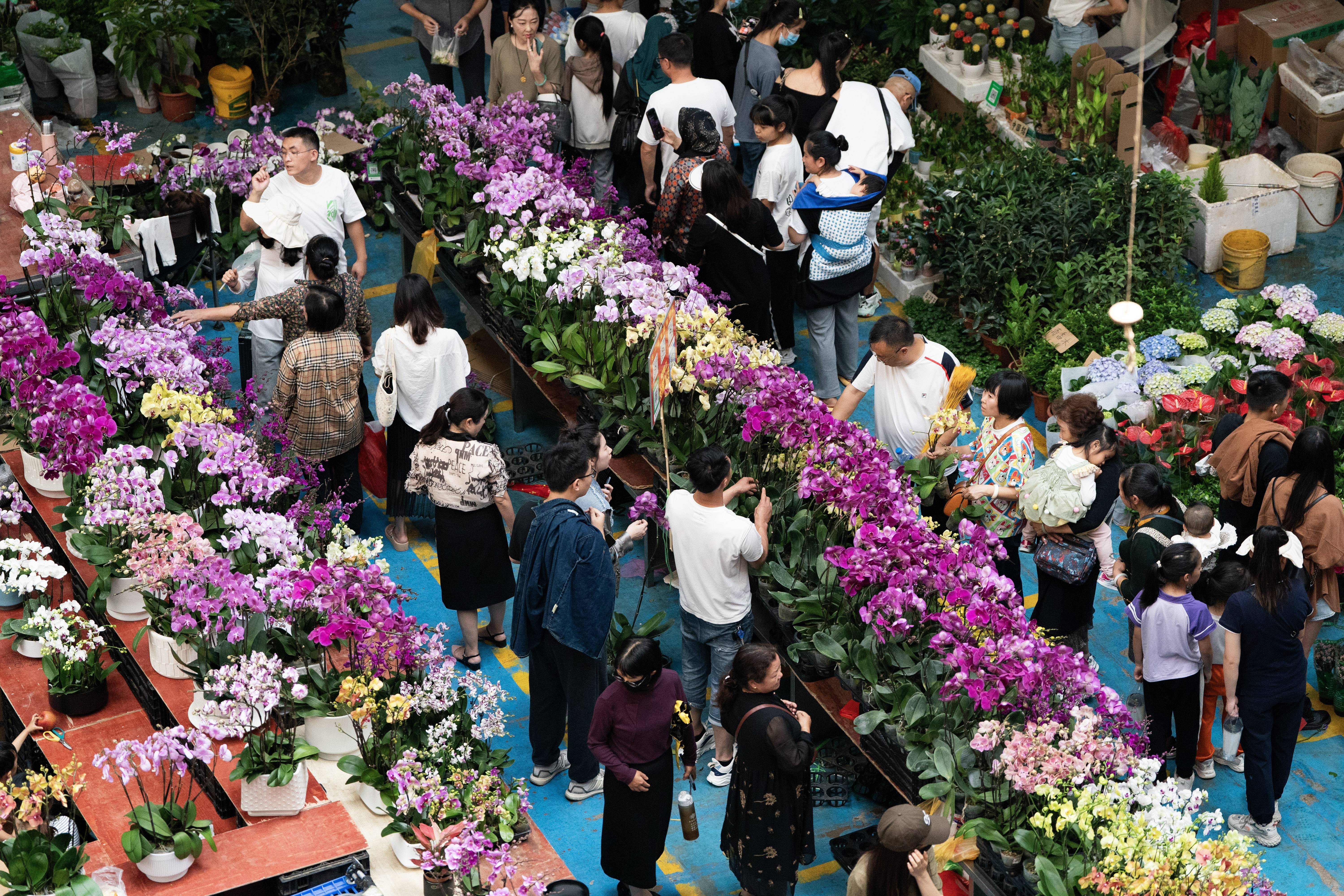 中秋国庆长假期间,不少市民游客前往云南省昆明市的斗南花卉市场选购
