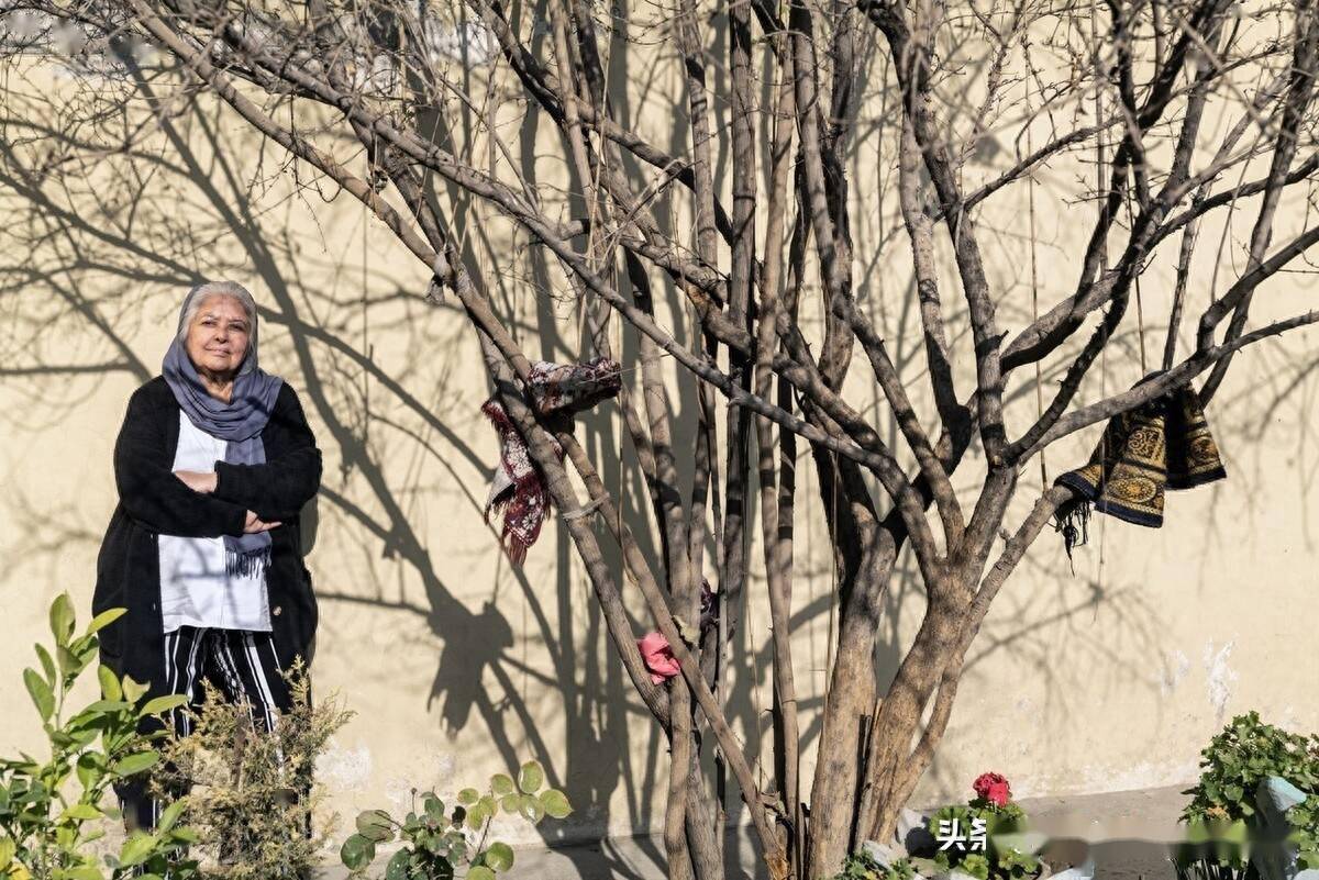 2023年诺贝尔和平奖提名人:阿富汗女记者马布巴·塞拉吉_妇女_组织