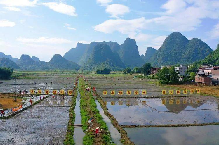 阳朔县福利镇:巧拨"金算盘"算好集体经济"共富账"_发展_党组织_管理