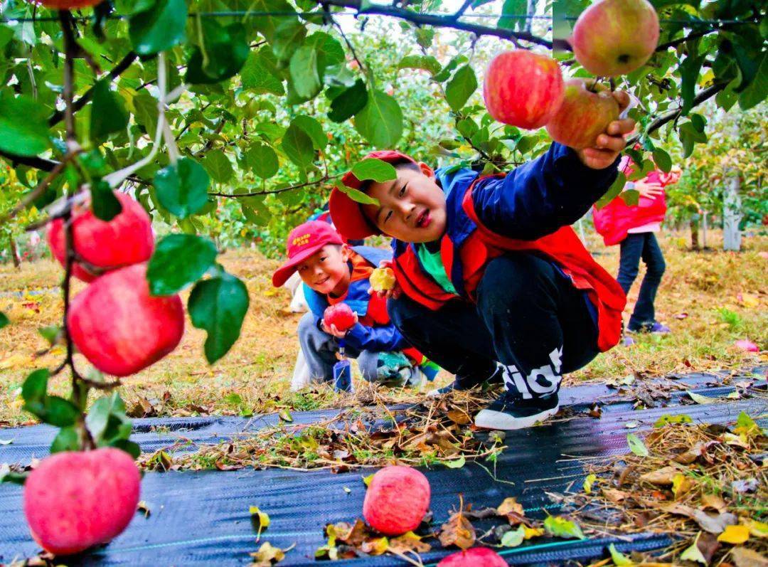 秋高气爽,威海这些地方好玩 美食