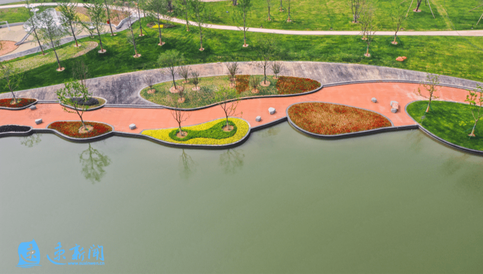 县区动态 | 泗阳县:筑牢生态"绿屏障" 龙窝潭生态安全缓冲区美如画_休