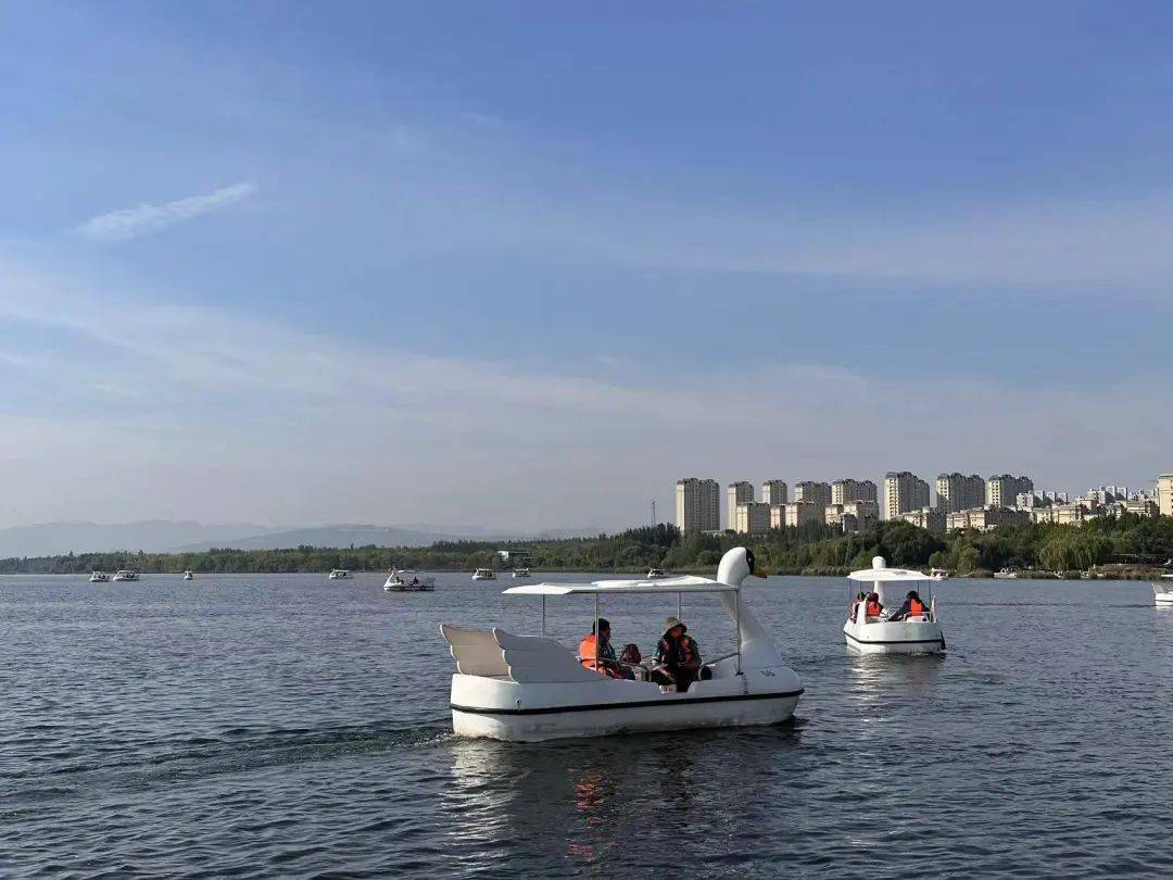 两节期间,我区对外开放的a级景区共有2家(多米渔乐岛,萌宠动物园),共